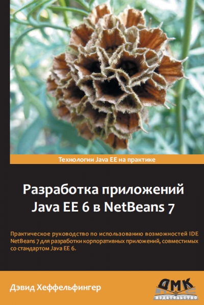 Разработка приложений Java EE 6 в NetBeans 7